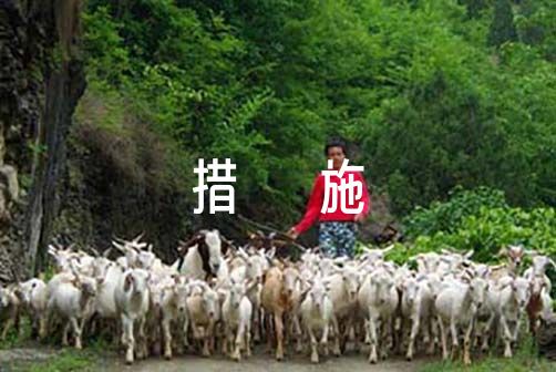 为什么篮球教练要不断改进训练方法_2